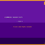 eCommerce Golden Steps - PLR Video Course