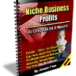 Niche Business Profits - PLR eBook