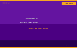 How To Start An Ecommerce Business From Scratch - Video Course - Image 1