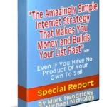 The Amazingly Simple Internet Strategy - PLR eBook